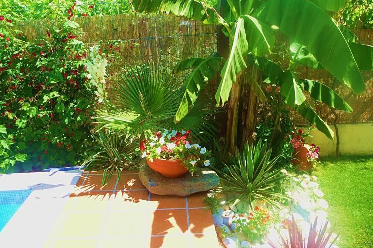 Casa da Pedrosa Ponte de Lima Exterior foto